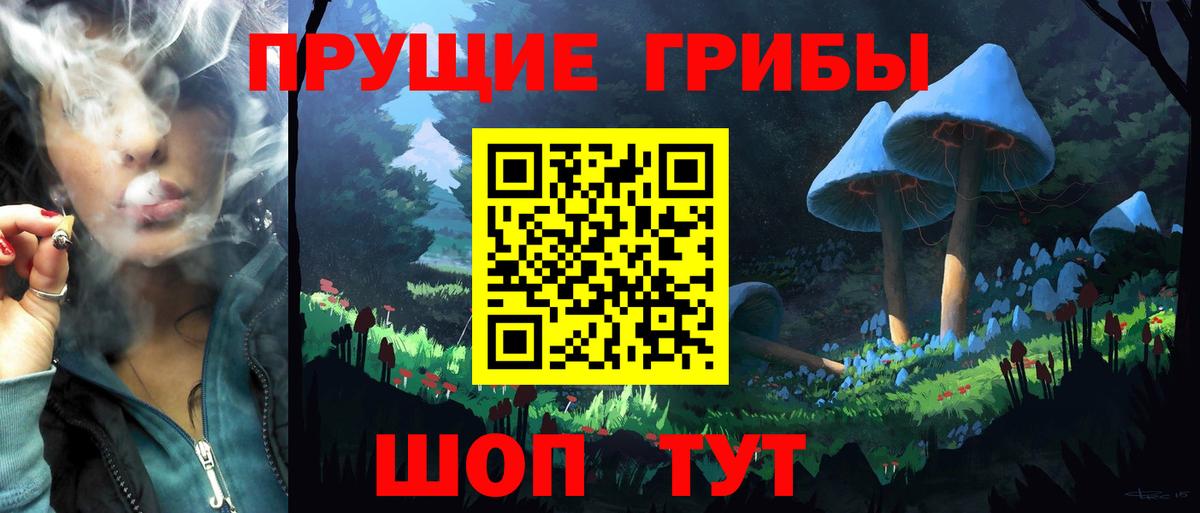 Галлюциногенные грибы Magic Shrooms  Вход с VPN  Татарск 